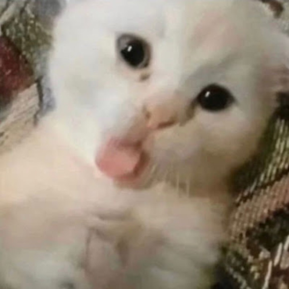 sirroma_tvt